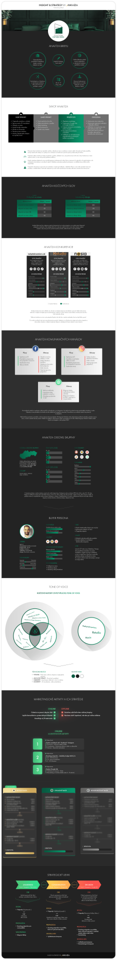 Insight and strategy - Fiktivny na web no lazy oprava